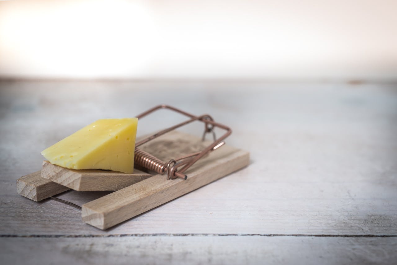 services-03 Close-up of a wooden mousetrap with a piece of cheese on a rustic table surface.